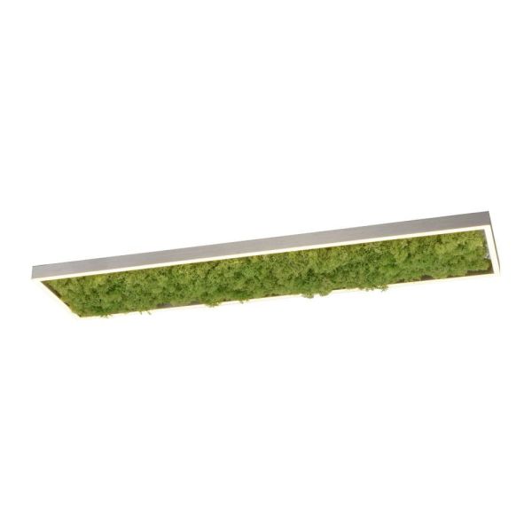 Люстра Zuma Line 15623-66 GREEN KNUT