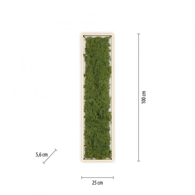 Люстра Zuma Line 15623-66 GREEN KNUT
