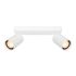 Спот ITALUX SPL-23436-2-WH Nesto